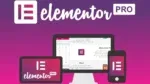 Elementor Pro